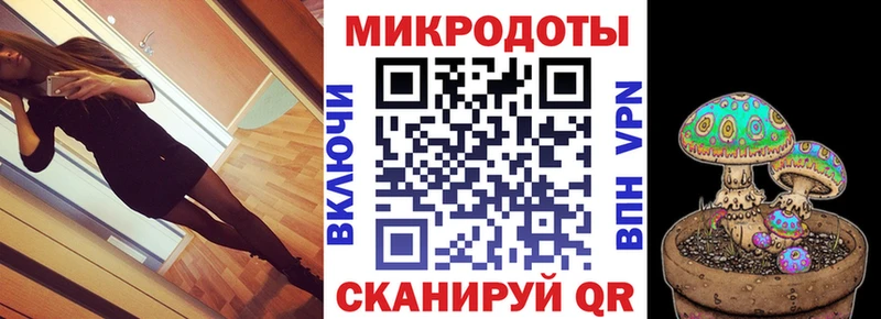 сколько стоит  Алдан  Псилоцибиновые грибы Cubensis 